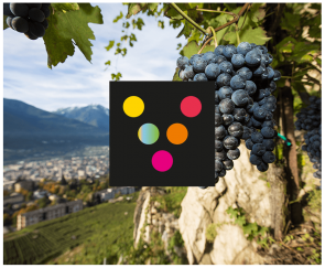Consorzio Vini di Valtellina