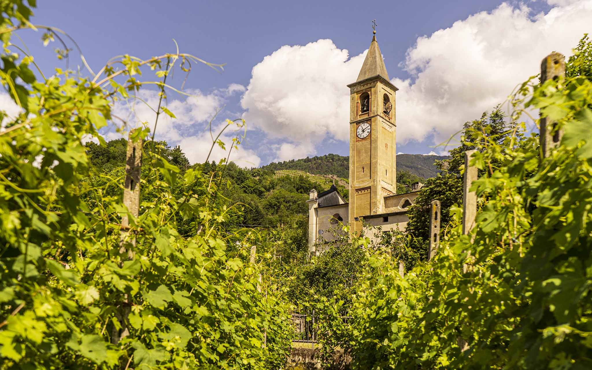 Strada del Vino Valtellina